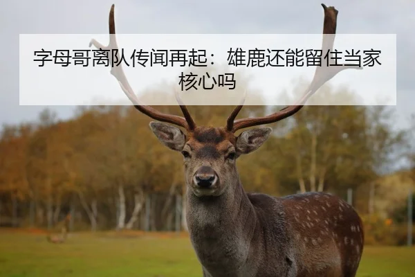 字母哥离队传闻再起：雄鹿还能留住当家核心吗